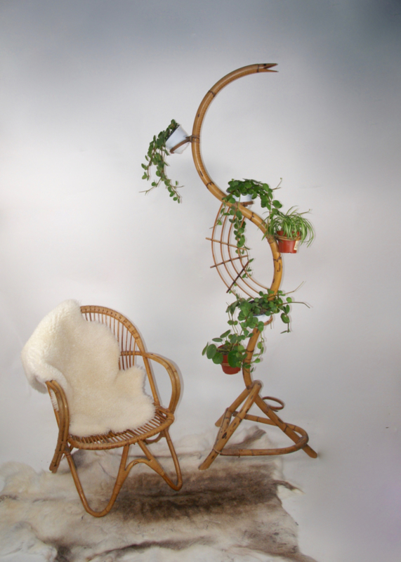 mug sterk jas Vintage rotan plantenstandaard/ jaren 60 bamboe slang | Verkocht | RetroLoes
