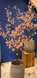 Onze bestseller!!!  135 cm hoge zijdenplant(zonder pot) Viro prijs €69,-