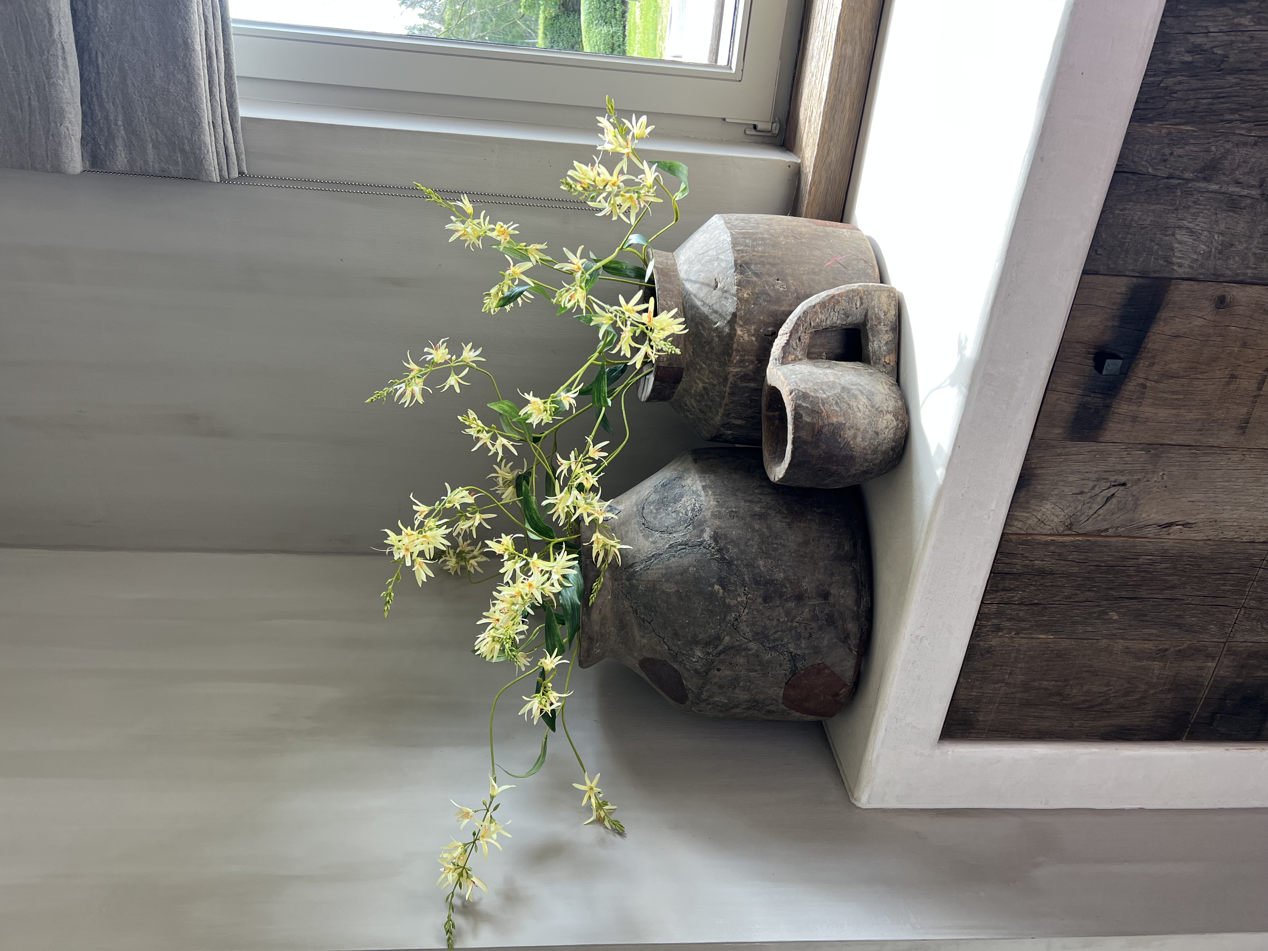 Delphinium 85 cm wit- vanillegeel