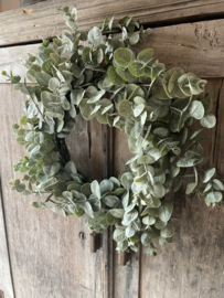 Eucalyptus krans 1 soort tak