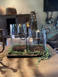 Senecoa groot 89 cm