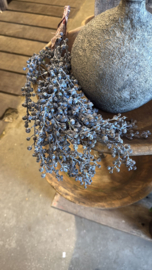 Kunst dadeltakken gedroogd blauw