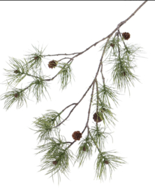 Dennentak 110cm - deluxe kwaliteit