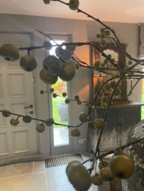 Appeltak