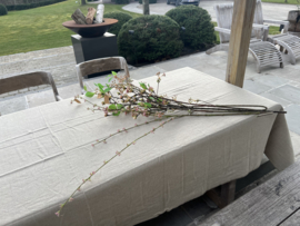 Spirea 95 cm