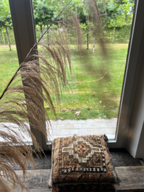 Pampas pluim xxl