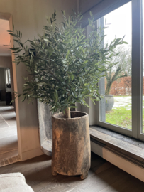 Kunstboom olijfboom 130x160met echte Stam xxl