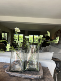 Dille crème wit (lijkt op fluitekruid)) 83 cm