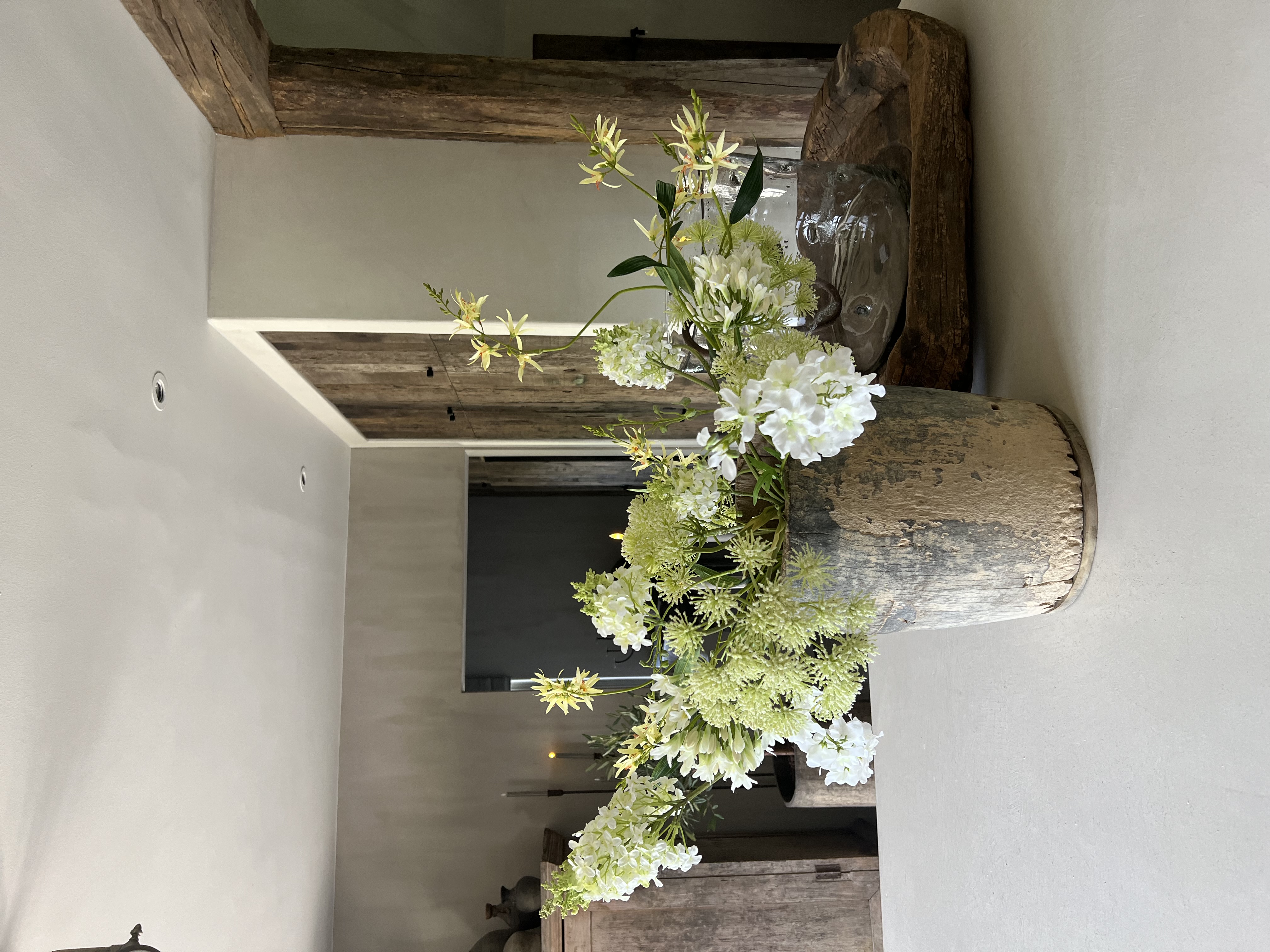 Agapanthus wit - 75 cm