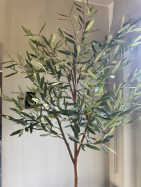 Kunstboom- olijfboom met echte Stam M -  80x180cm