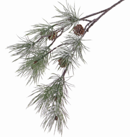 Dennentak frost 81cm - deluxe kwaliteit
