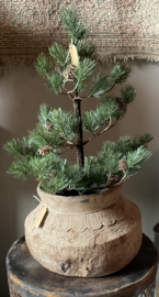 Kunstboom met dennenappels klein