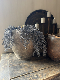 Kunst dadeltakken gedroogd blauw