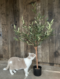 Kunstboom- olijfboom met echte Stam S - 65 x 118 cm 