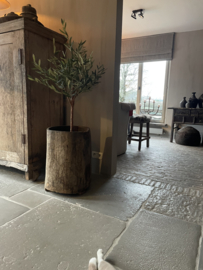 Kunstboom- olijfboom met echte Stam S - 65 x 118 cm 