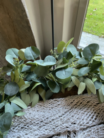 Eucalyptus krans XXL