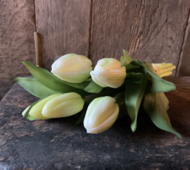 Tulp boeket 7stuks wit 32cm
