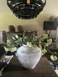 Dille crème wit (lijkt op fluitekruid)) 83 cm