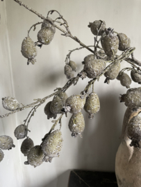 Fruit brunch 92 cm