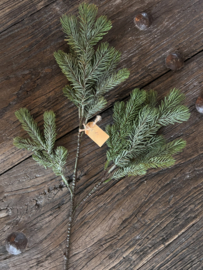 Kersttak den - 50cm