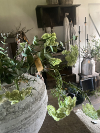 Wild boeket