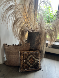 Pampas pluim xxl