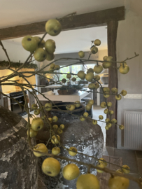 Appeltak
