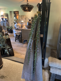 Senecoa groot 89 cm