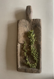 Senecoa klein 50 cm