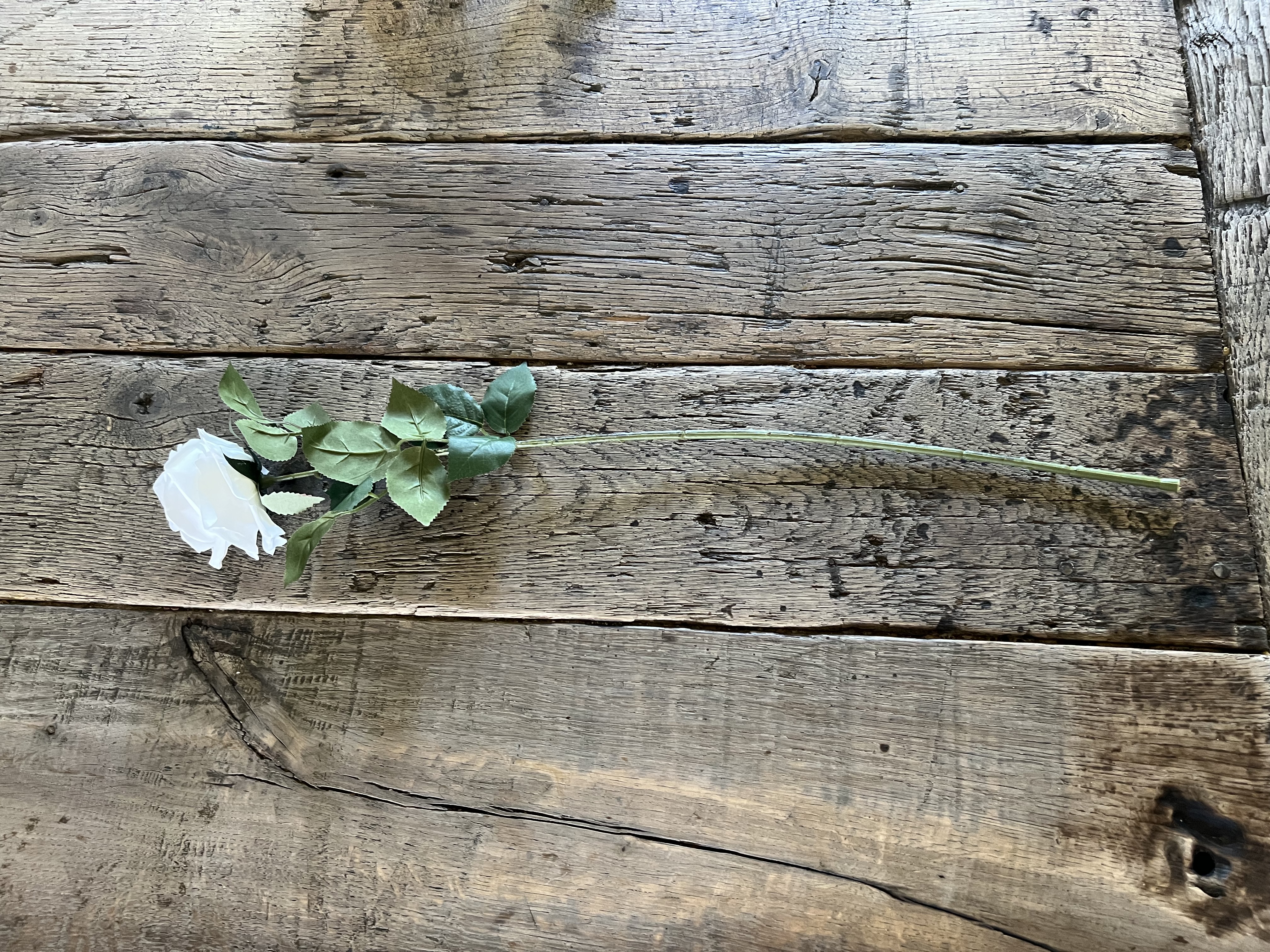 Witte roos deluxe