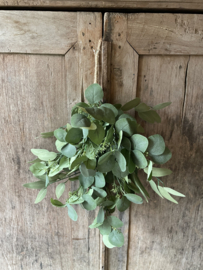 Eucalyptustoef