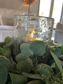 Eucalyptus krans xs