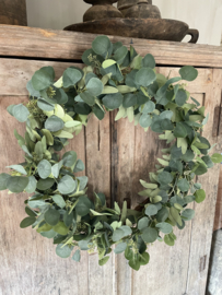 Eucalyptus krans XXL