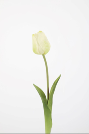 Kunsttulp wit 41cm