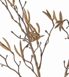 Berkentak beige 90cm 60 dikkere katjes