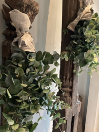 Groentoef eucalyptus deluxe 