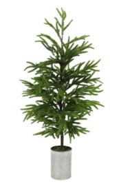 Kunst Araucaria M