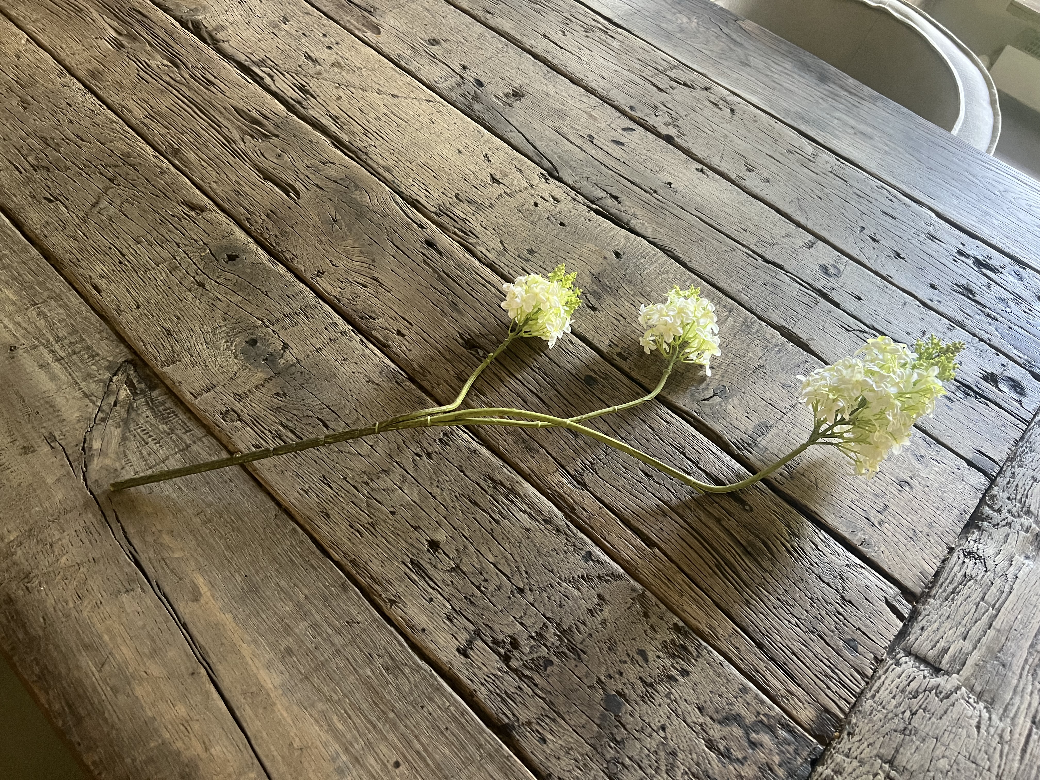 Witte  seringen 112 cm