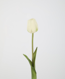 Tulp wit 47cm
