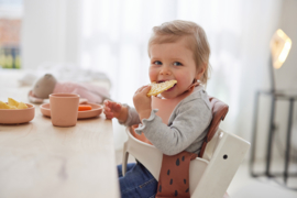 Dinerset Siliconen pale pink