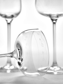 Champagne coupe (24 cl) Anemone Vaniglia - Marni / Serax