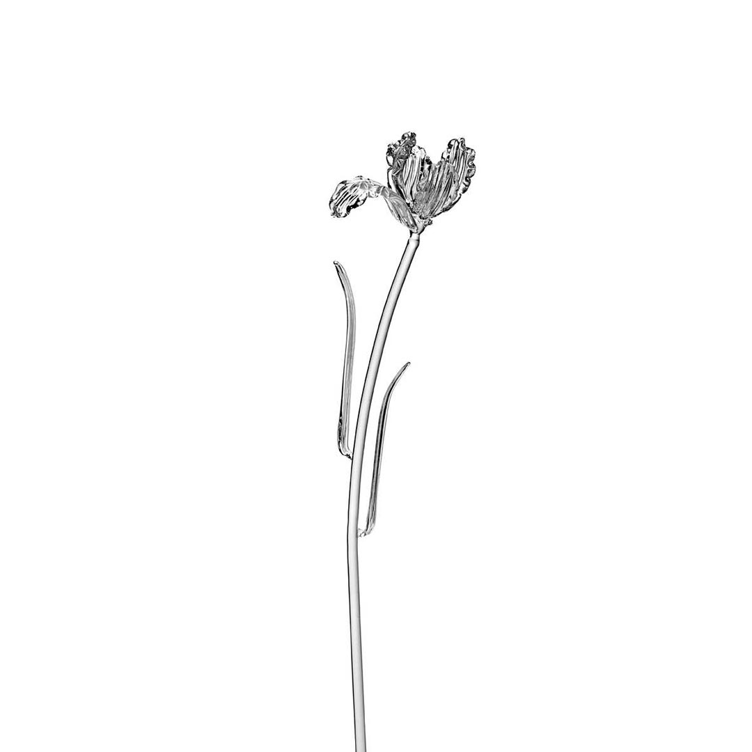 Josephine - Bloem Tulp transparant - Kris Van Assche / Serax