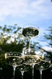 Champagne coupe (24 cl) Anemone Vaniglia - Marni / Serax