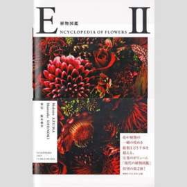 Encyclopedia Of Flowers II - Makoto Azuma & Shunsuke Shiinoki
