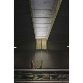Foto 'Woman Looking At Plant' - Joost Nelissen
