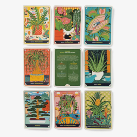 The Happy Houseplant Deck: 50 cards for intuitive plant care - Caitlin Keegan