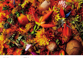 Encyclopedia Of Flowers III - Makoto Azuma & Shunsuke Shiinoki