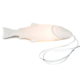 -Mykiss- Fish porseleinen hanglamp - Pols Potten