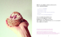 My Little Hedgehog, Darcy