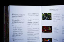 Encyclopedia Of Flowers II - Makoto Azuma & Shunsuke Shiinoki